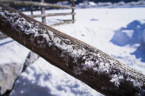 wood banister, winter, snow, atmospheric icing, clear ice, hoar frost, hoarfrost, radiation frost