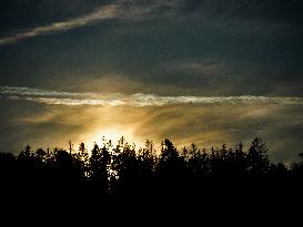 Sunset, wood, condense trail, contrails