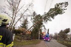 Consequences of night wind storm Eberhard in the Czech Republic, tree, electricity network, wires, firemen, car