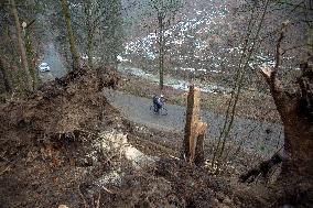 Consequences of night wind storm Eberhard in the Czech Republic, fallen tree