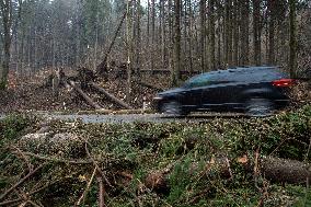 Consequences of night wind storm Eberhard in the Czech Republic, fallen tree, car