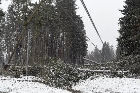 Consequences of night wind storm Eberhard in the Czech Republic, fallen tree, wire electricity, damage