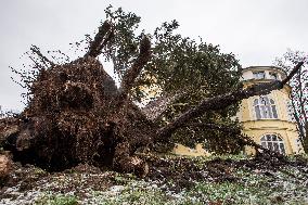 Consequences of night wind storm Eberhard in the Czech Republic, Dobrenice