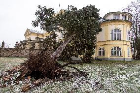Consequences of night wind storm Eberhard in the Czech Republic, Dobrenice