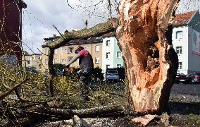 Consequences of night wind storm Eberhard in the Czech Republic