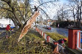 Consequences of night wind storm Eberhard in the Czech Republic