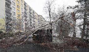 Consequences of night wind storm Eberhard in the Czech Republic