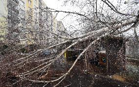 Consequences of night wind storm Eberhard in the Czech Republic