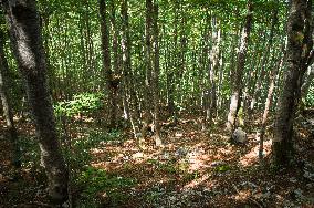 Prokletije National park, Mountains