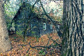 Chernobyl zone, restricted territory, Novoshepelychi, house