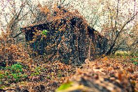 Chernobyl zone, restricted territory, village Krasne