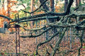 Chernobyl zone, restricted territory, village Krasne, cemetery