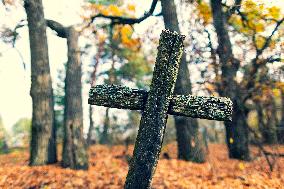 Chernobyl zone, restricted territory, village Krasne, cemetery