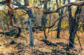 Chernobyl zone, restricted territory, village Krasne, cemetery
