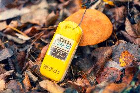 Chernobyl zone, restricted territory, Pripyat, Prypiat, Geiger counters