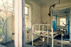 Chernobyl zone, restricted territory, dog, village Lis