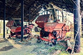 Chernobyl zone, restricted territory, Zymovyshche village, farm