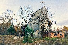 Chernobyl zone, restricted territory, Zymovyshche village, farm