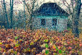 Chernobyl zone, restricted territory, Novoshepelychi