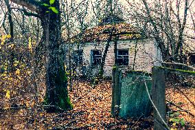 Chernobyl zone, restricted territory, Novoshepelychi, house