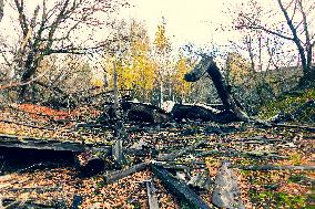 Chernobyl zone, restricted territory, Novoshepelychi