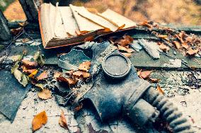 Chernobyl zone, restricted territory, village Masheva, gas mask, school