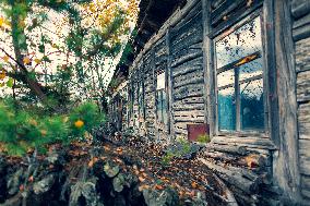 Chernobyl zone, restricted territory, village Masheva