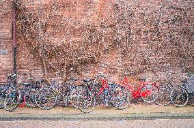 bikes parking