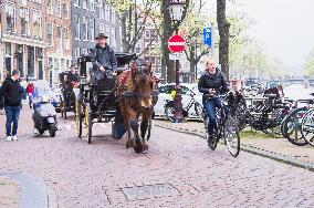 bicyclist pass a horse drawn carriage