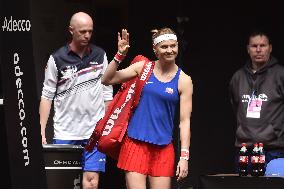 Petr Pala, Lucie Safarova