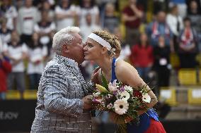 Lucie Safarova, Miroslav Cernosek