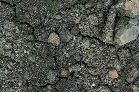 dry soil in the fields near Zbudov