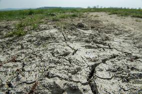 dry soil in the pasture near Zbudov