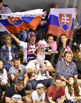 Slovak ice hockey fans
