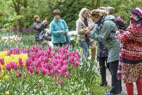 Keukenhof, Garden of Europe, tulips, tourists, visitors