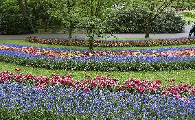 Keukenhof, Garden of Europe, tulips