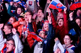 Slovak fans