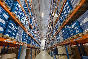 Swiss logistic company Panalpina opens its second industrial building, ceremonial opening