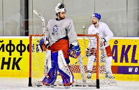 Patrik Bartosak, Filip Hronek