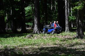 Milos Zeman, Andrej Kiska, the Lany game reserve, forest, bodyguard