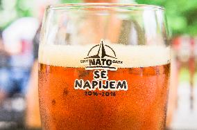 light lager, beer glass, half litre, NATO DAYS 2016-2018