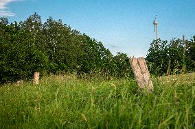 wind turbine, wind energy converter