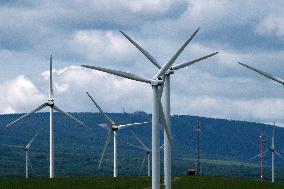 wind turbine, turbines, wind energy converter, converters, wind farm