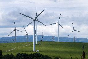 wind turbine, turbines, wind energy converter, converters, wind farm