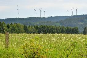 wind turbine, turbines, wind energy converter, converters, wind farm