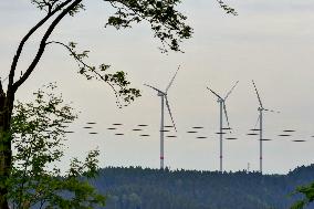 wind turbine, turbines, wind energy converter, converters, wind farm