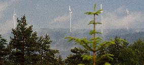 wind turbine, turbines, wind energy converter, converters, wind farm