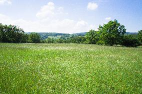 National Nature Reserve Certoryje in the White Carpathians, countryside, landscape, meadows