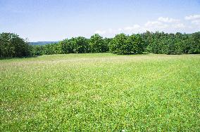 National Nature Reserve Certoryje in the White Carpathians