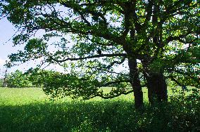 National Nature Reserve Certoryje in the White Carpathians, countryside, landscape, meadows